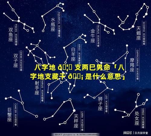 八字地 🦄 支两巳男命「八字地支藏干 🐡 是什么意思」